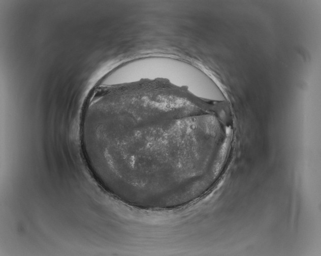 X0000112010008200908311143