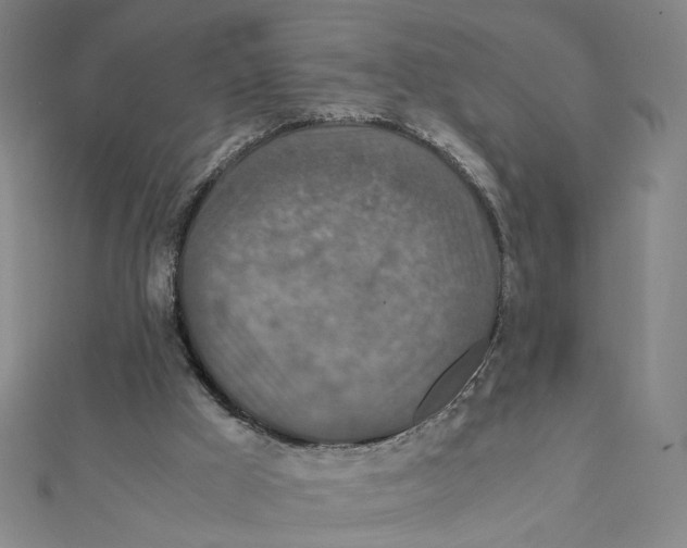 X0000112010009200908311143