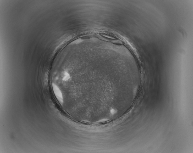 X0000112010010200908311143