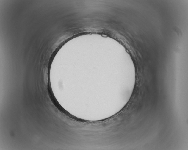 X0000112010011200908311143