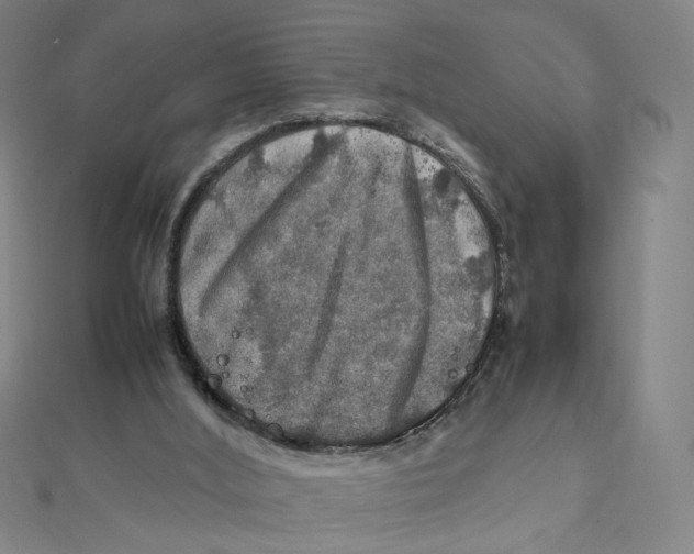X0000112010012200908311143