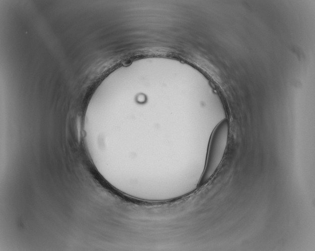 X0000112010013200908311143