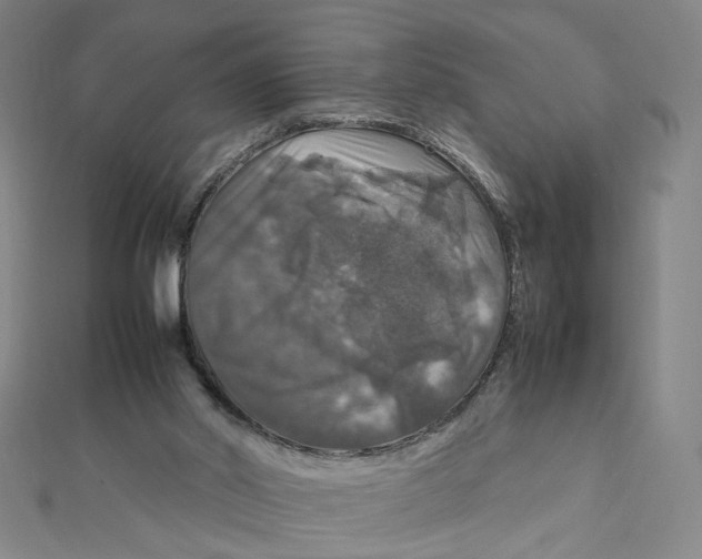 X0000112010014200908311143