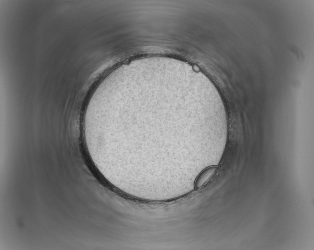 X0000112010015200908311143