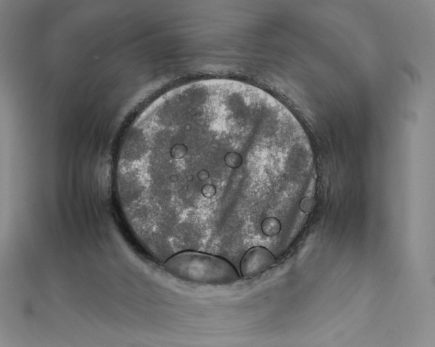 X0000112010016200908311143