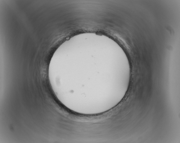 X0000112010017200908311143
