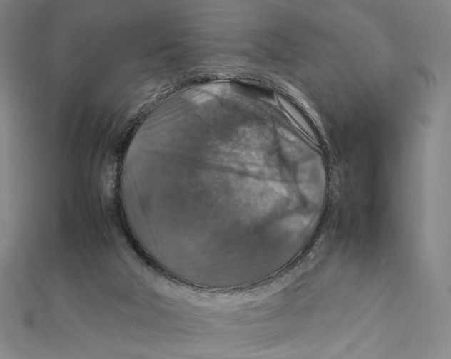 X0000112010018200908311143