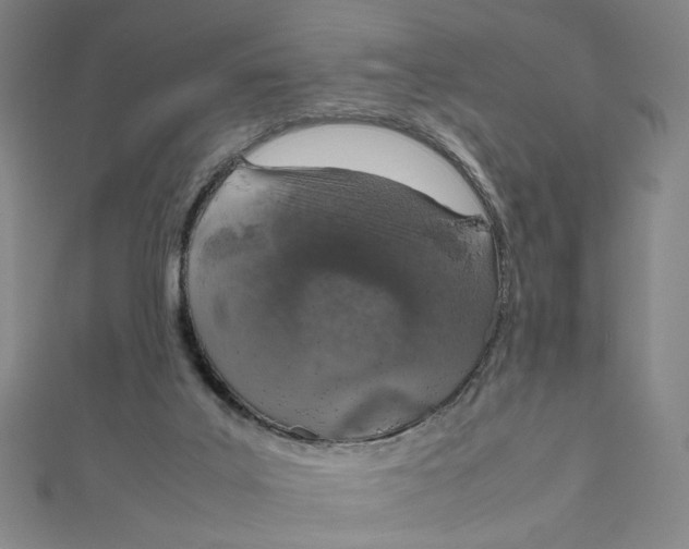 X0000112010019200908311143