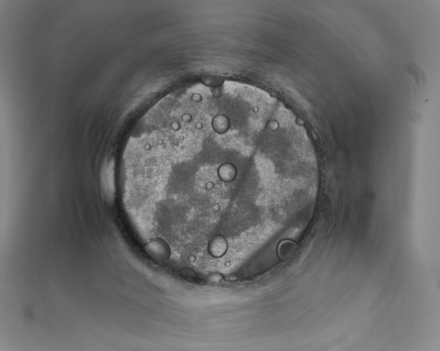 X0000112010020200908311143