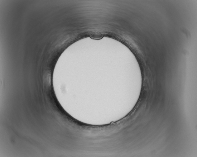 X0000112010021200908311143