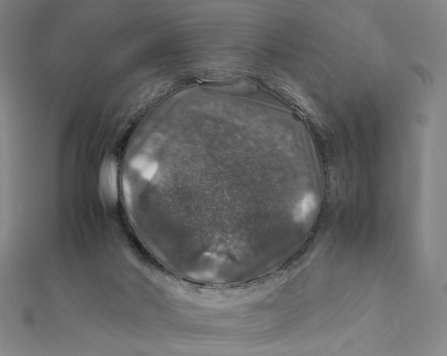 X0000112010022200908311143