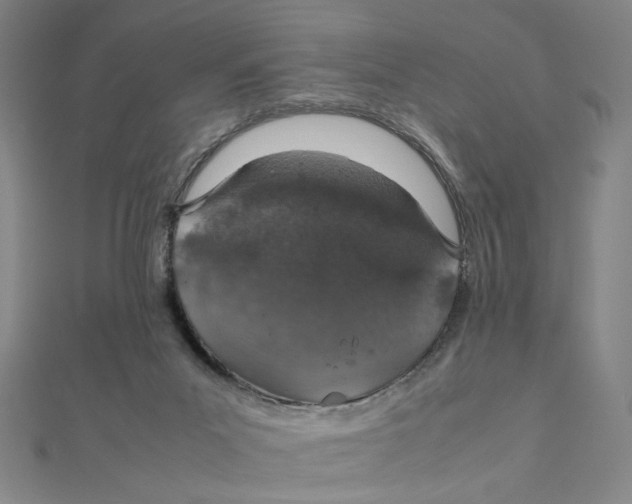 X0000112010023200908311143