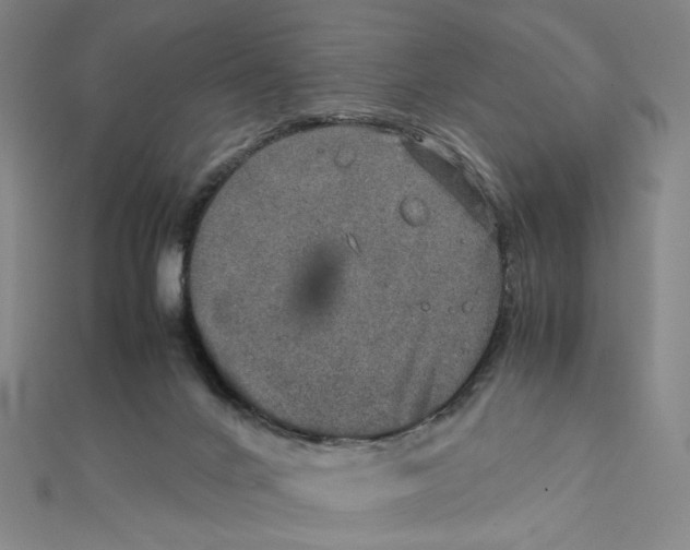 X0000112010024200908311143