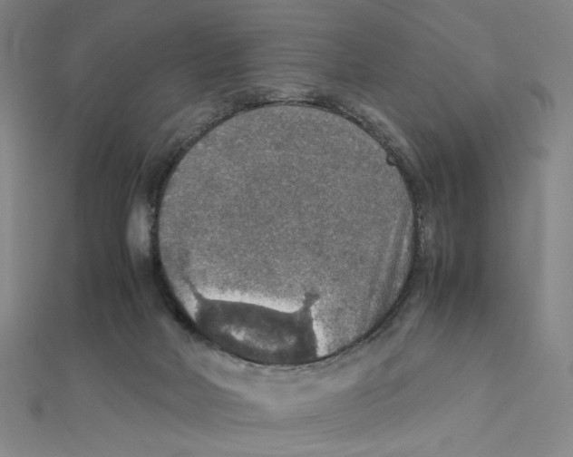 X0000112010026200908311143