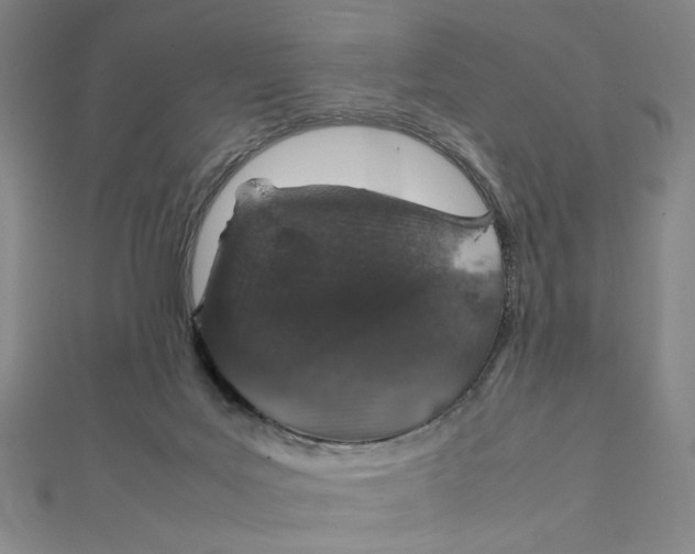 X0000112010027200908311143