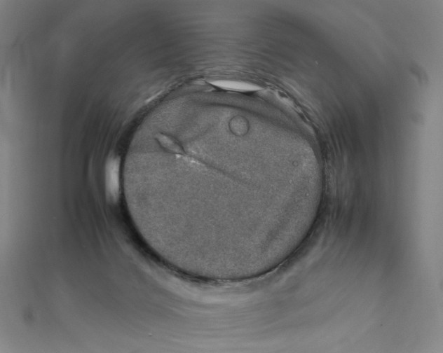 X0000112010028200908311143