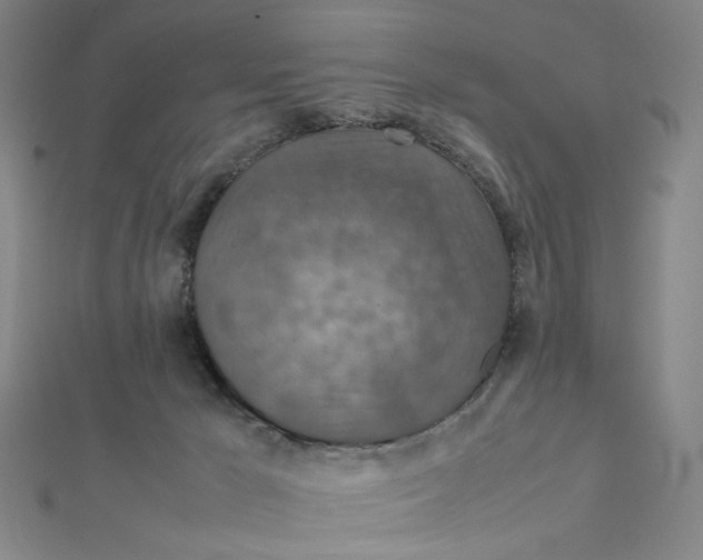 X0000112010029200908311143