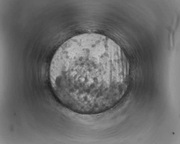 X0000112010030200908311143