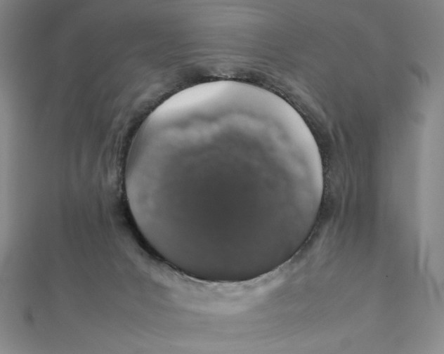 X0000112010031200908311143
