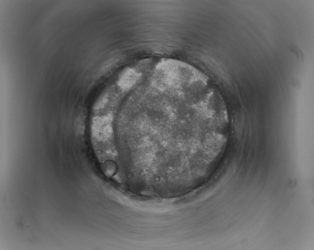 X0000112010032200908311143