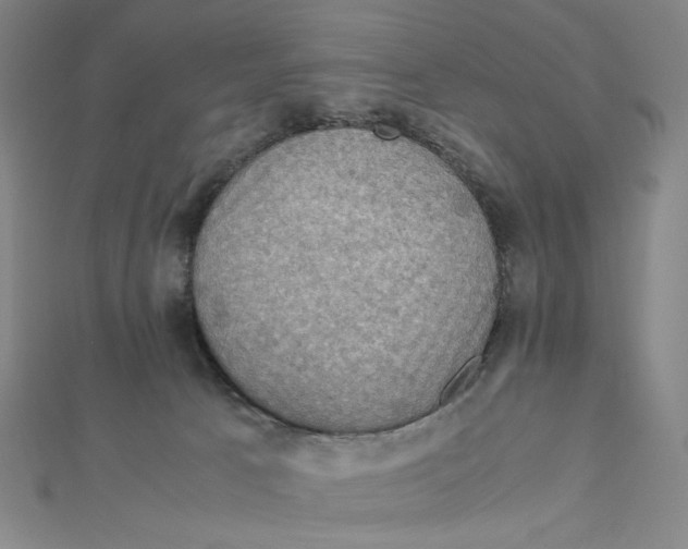X0000112010033200908311143