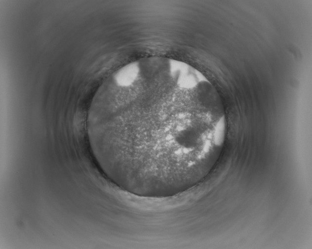 X0000112010034200908311143