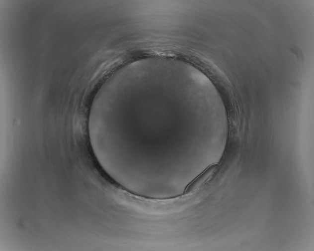 X0000112010035200908311143