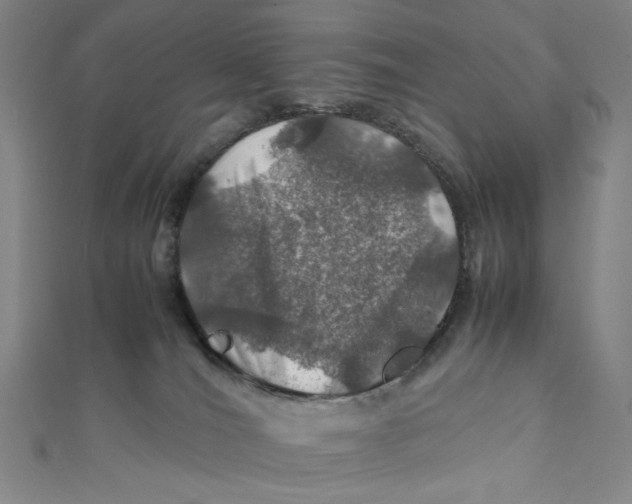 X0000112010036200908311143
