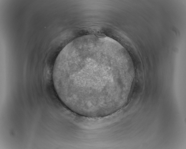 X0000112010037200908311143