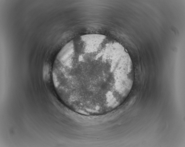 X0000112010038200908311143
