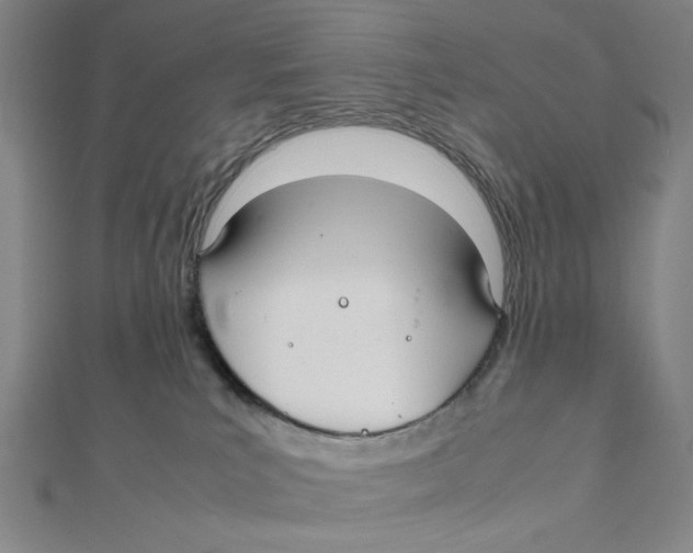 X0000112010039200908311143