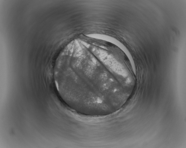 X0000112010040200908311143