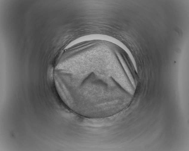 X0000112010041200908311143