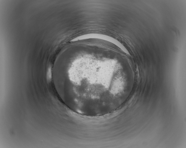 X0000112010042200908311143