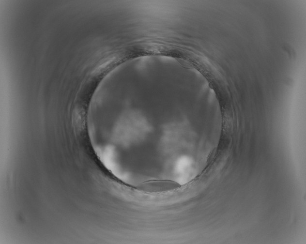 X0000112010043200908311143