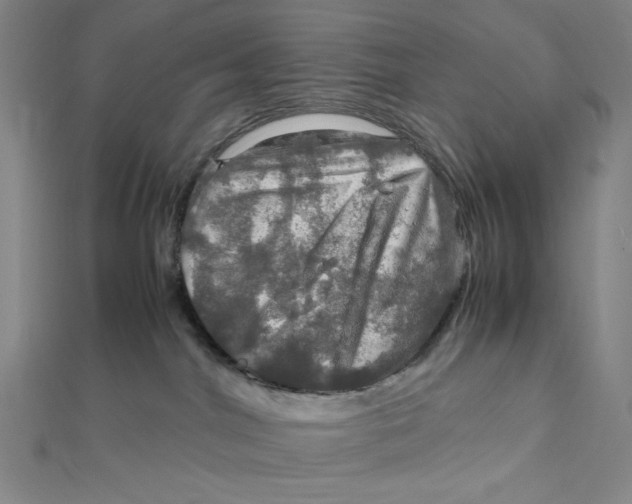 X0000112010044200908311143