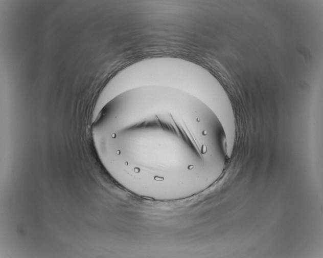 X0000112010045200908311143
