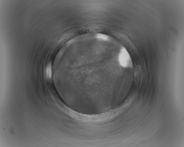 X0000112010046200908311143