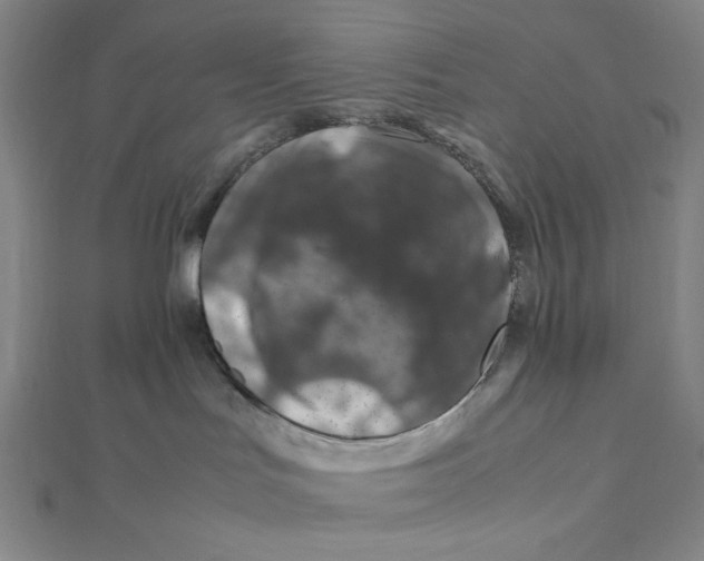 X0000112010047200908311143