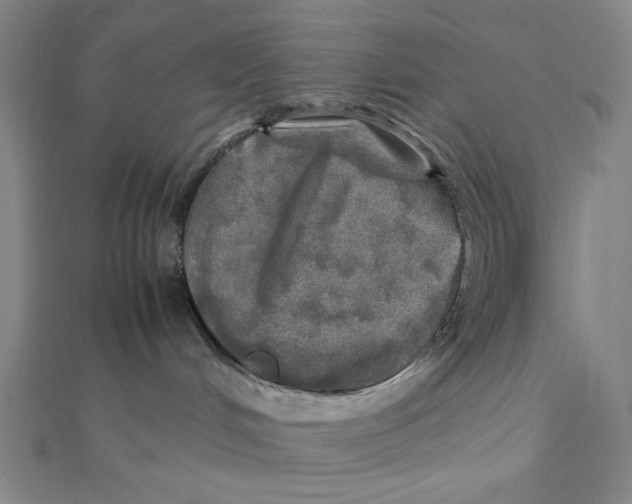 X0000112010048200908311143