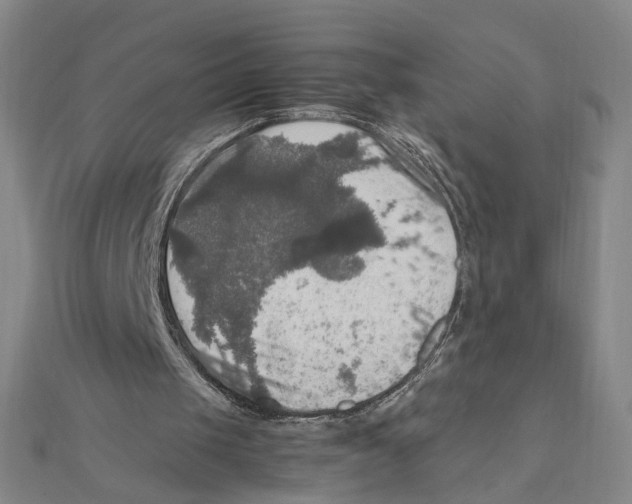 X0000112010049200908311142
