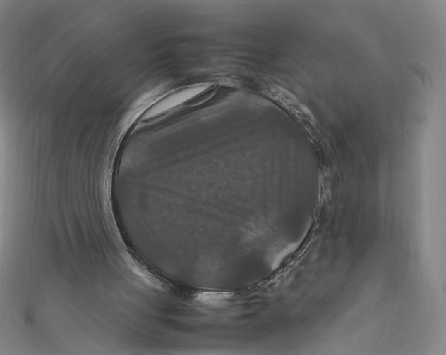 X0000112010051200908311142