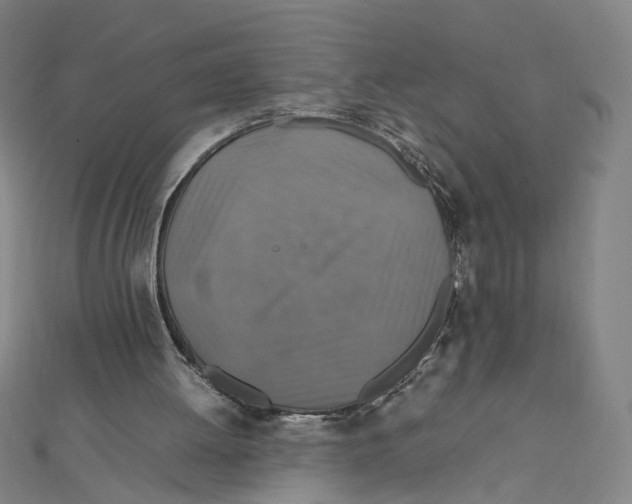 X0000112010052200908311142