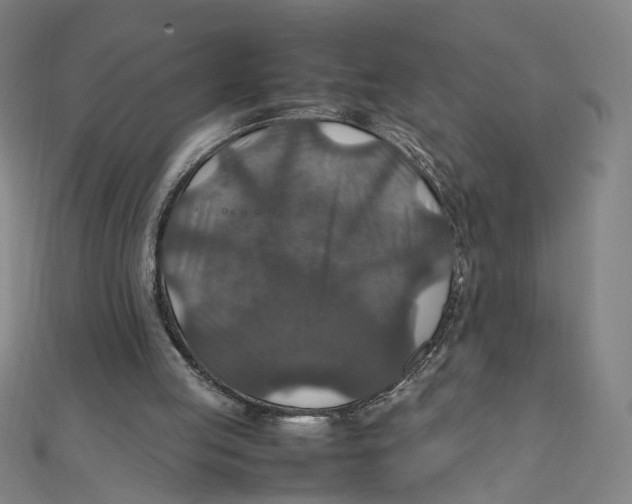 X0000112010053200908311142
