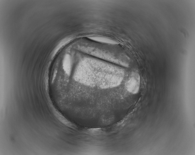 X0000112010054200908311142