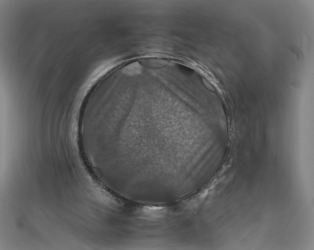 X0000112010055200908311142