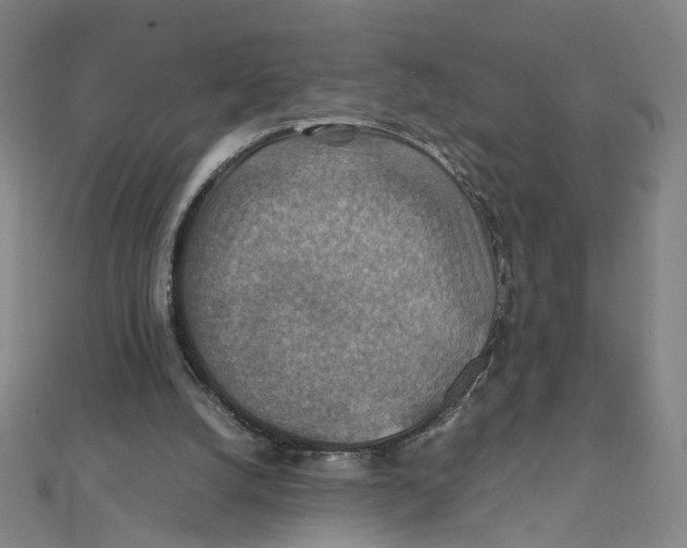 X0000112010056200908311142