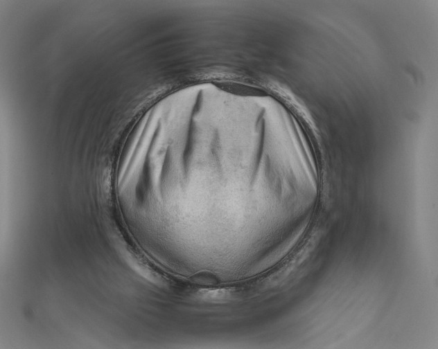 X0000112010057200908311142