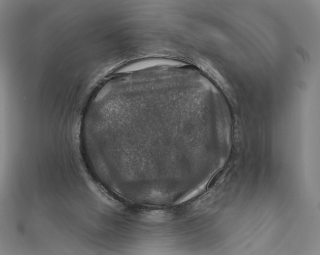 X0000112010058200908311142