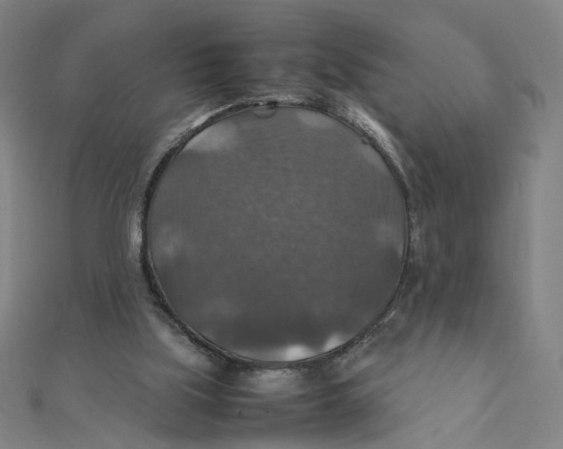 X0000112010059200908311142